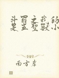 斗罗之我的武魂是五圣兽小说