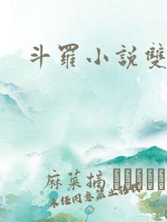 斗罗小说双男主