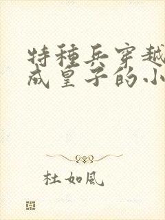 特种兵穿越古代成皇子的小说