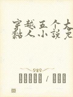 穿越五个大佬太黏人小说免费阅读