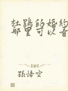 杜鹃的婚约动漫哪里可以看