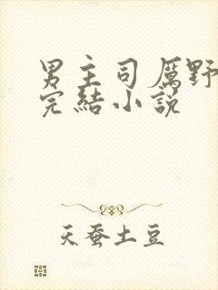 男主司厉野免费完结小说