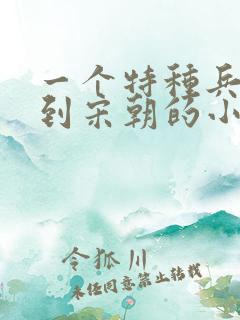 一个特种兵穿越到宋朝的小说