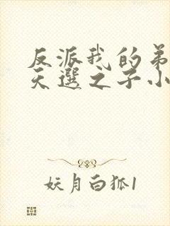 反派我的弟弟是天选之子小说最新