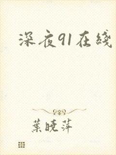深夜91在线