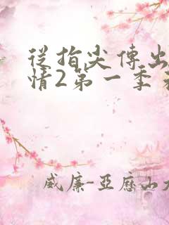 从指尖传出的热情2第一季未增减