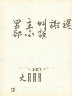 男主叫谢迟的一部小说