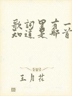 歌词里有一句不知道是哪首歌