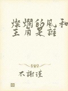 灿烂的风和海女主角是谁