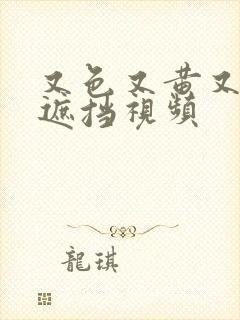 又色又黄又爽无遮挡视频