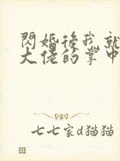 闪婚后我就成了大佬的掌中之物