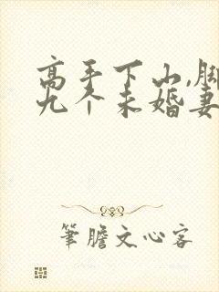 高手下山,脚踩九个未婚妻全本txt免费下载