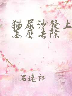 猫尿沙发上骚味怎么去除