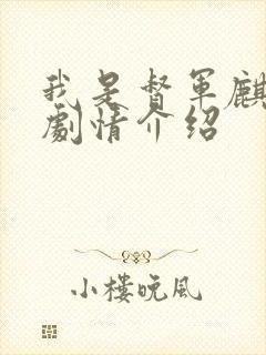 我是督军麒麟子剧情介绍