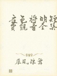 夜色将明短剧免费观看全集大结局