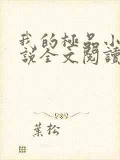 我的极品小姨小说全文阅读