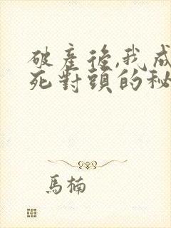 破产后,我成了死对头的秘