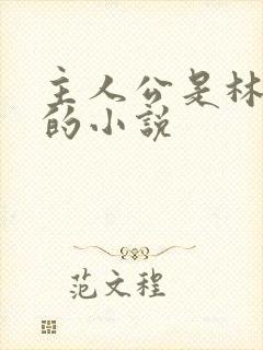 主人公是林晚晴的小说