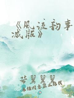 《风流韵事未删减版》