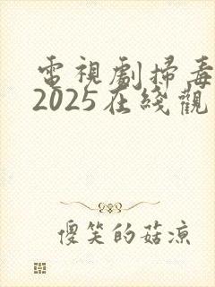 电视剧扫毒风暴2025在线观看全集
