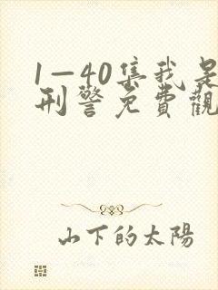 1—40集我是刑警免费观看电视剧