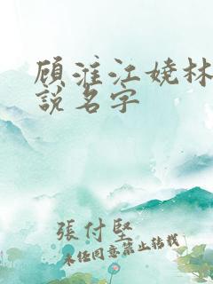 顾淮江娆林澈小说名字
