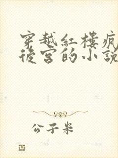 穿越红楼疯狂开后宫的小说