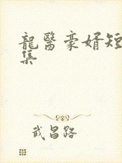 龙医豪婿短剧全集