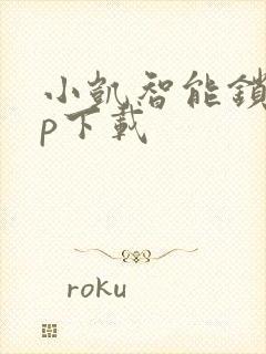 小凯智能锁app下载