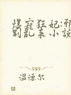 爆宠狂妃:邪王别乱来小说版