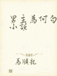 男主为何勾引我小说