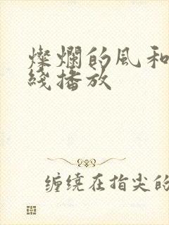 灿烂的风和海在线播放