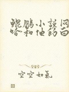 鲲鹏小说网站二哈和他的白猫师尊