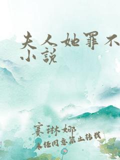 夫人她罪不至死小说