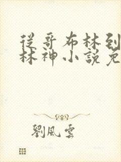 从哥布林到哥布林神小说免费阅读