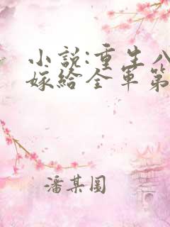 小说:重生八零嫁给全军第一硬汉