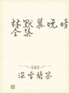林默慕晚晴小说全集