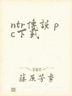 ntr传说 pc下载