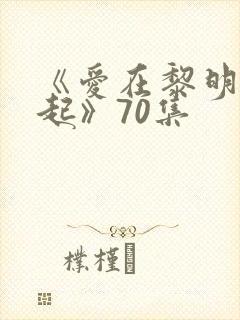 《爱在黎明前升起》70集