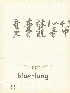 哥布林1~4集免费观看中文