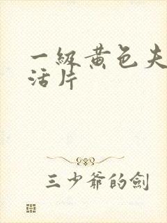 一级黄色夫妻生活片