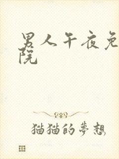 男人午夜免费剧院