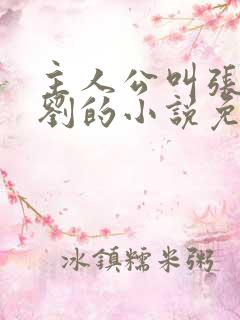 主人公叫张岚老刘的小说免费阅读