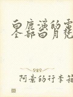 白鹿演的电视剧全部白月梵星