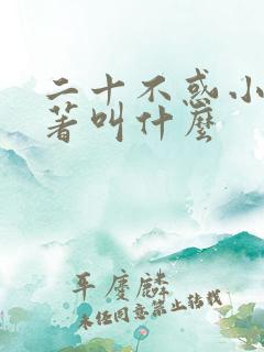 二十不惑小说原著叫什么