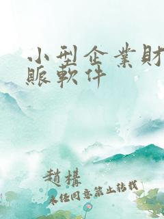 小型企业财务记账软件