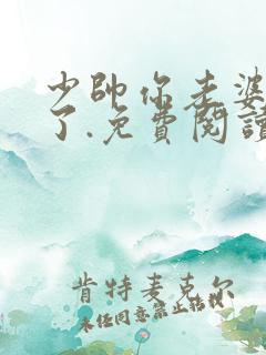 少帅你老婆又跑了.免费阅读