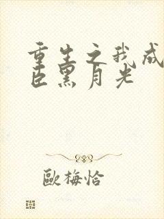 重生之我成了奸臣黑月光