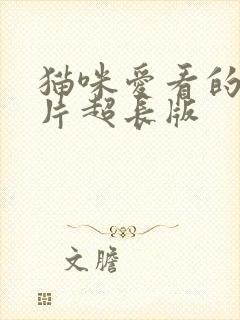猫咪爱看的动画片超长版