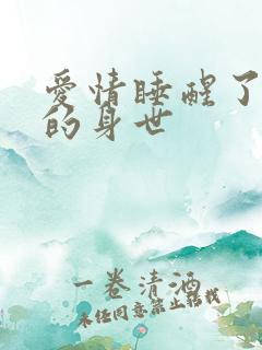 爱情睡醒了小贝的身世